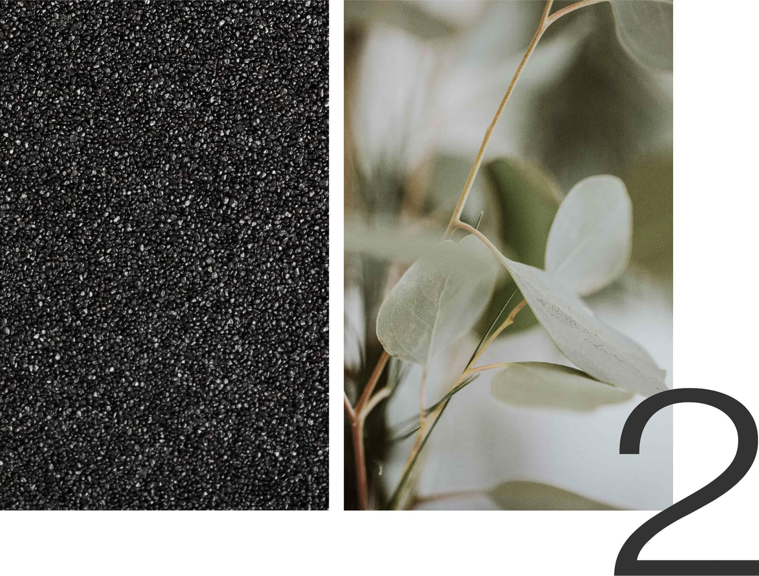 eucalyptus and energizing minerals