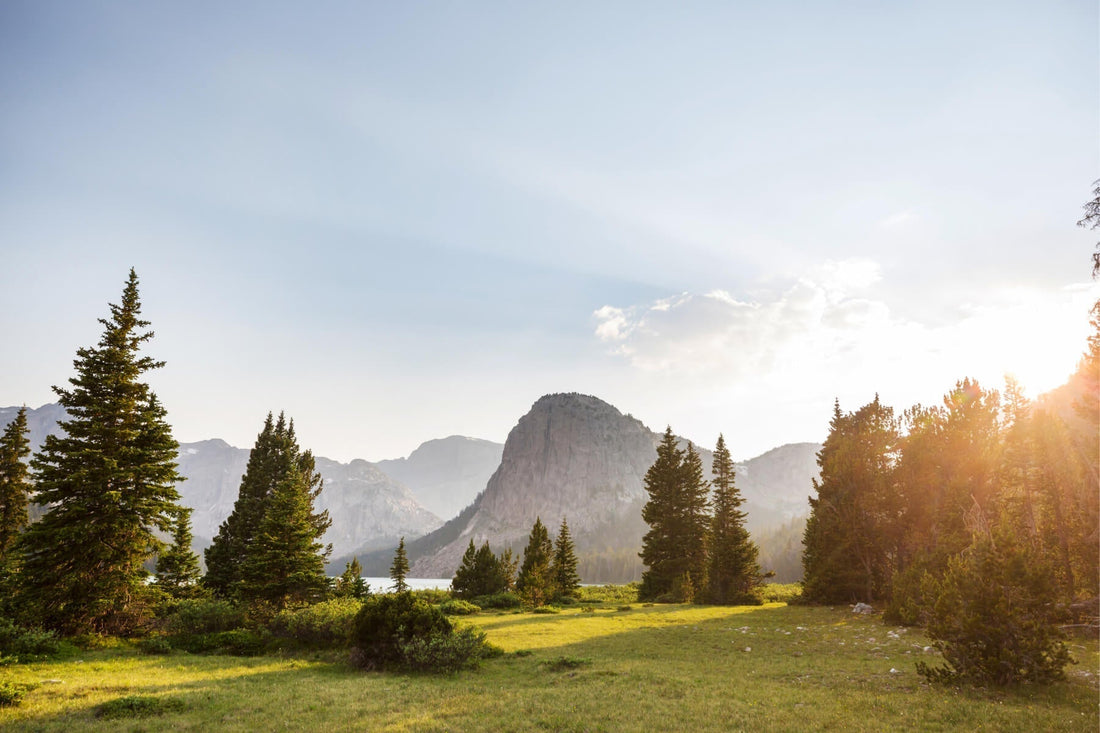 Green Friday: Sleep Well, Make an Impact