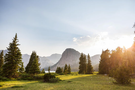 Green Friday: Sleep Well, Make an Impact