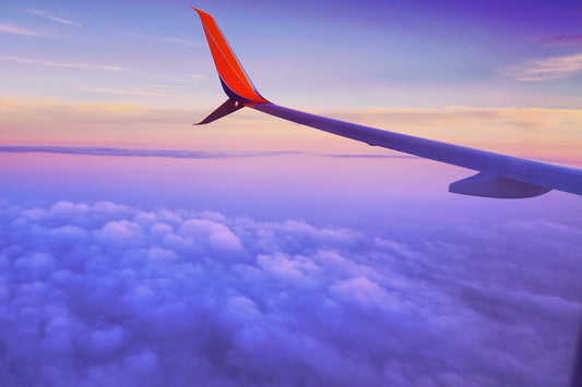 SLEEPING PILOTS MAKE FOR A SAFE FLIGHT