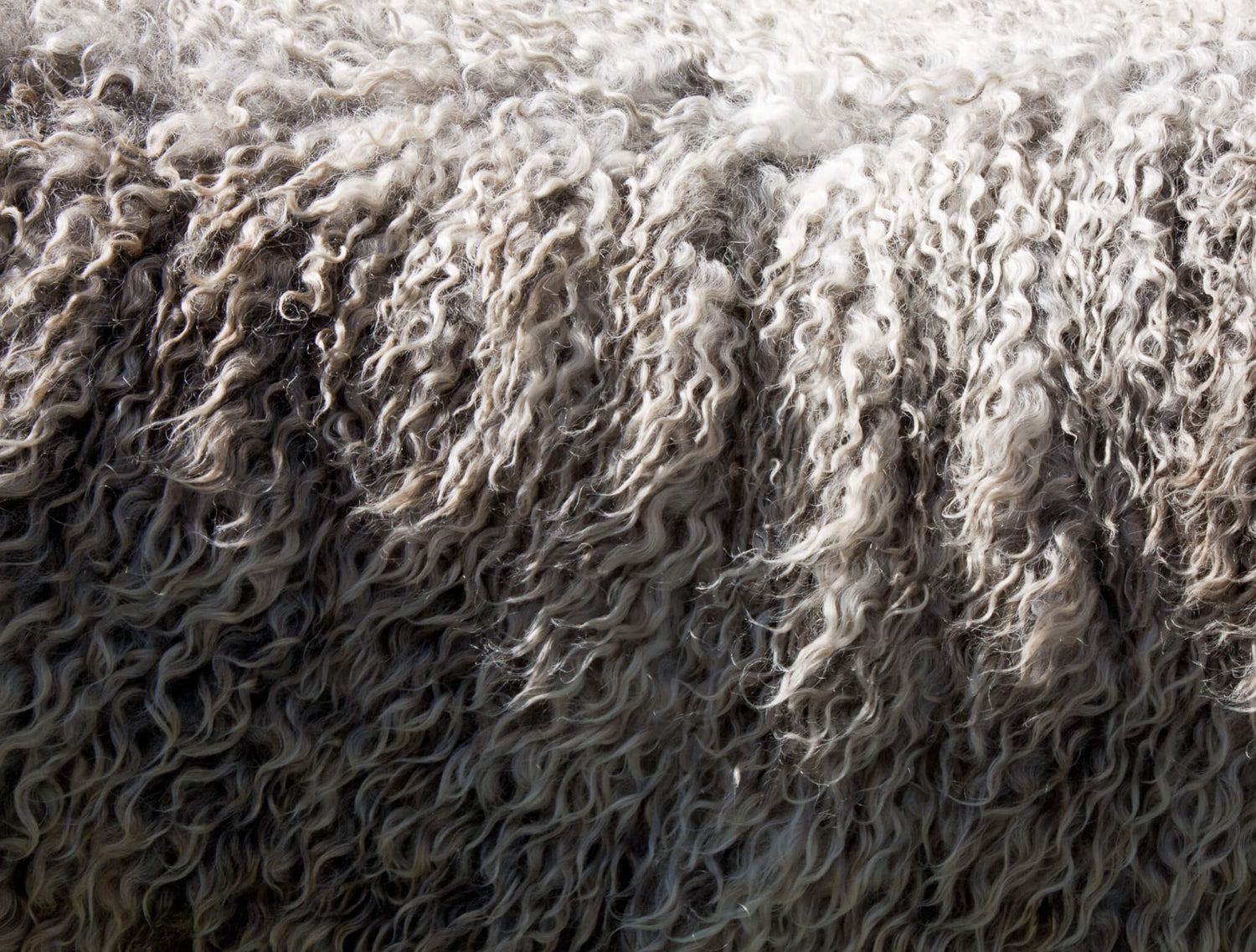 NATIVA Merino Wool